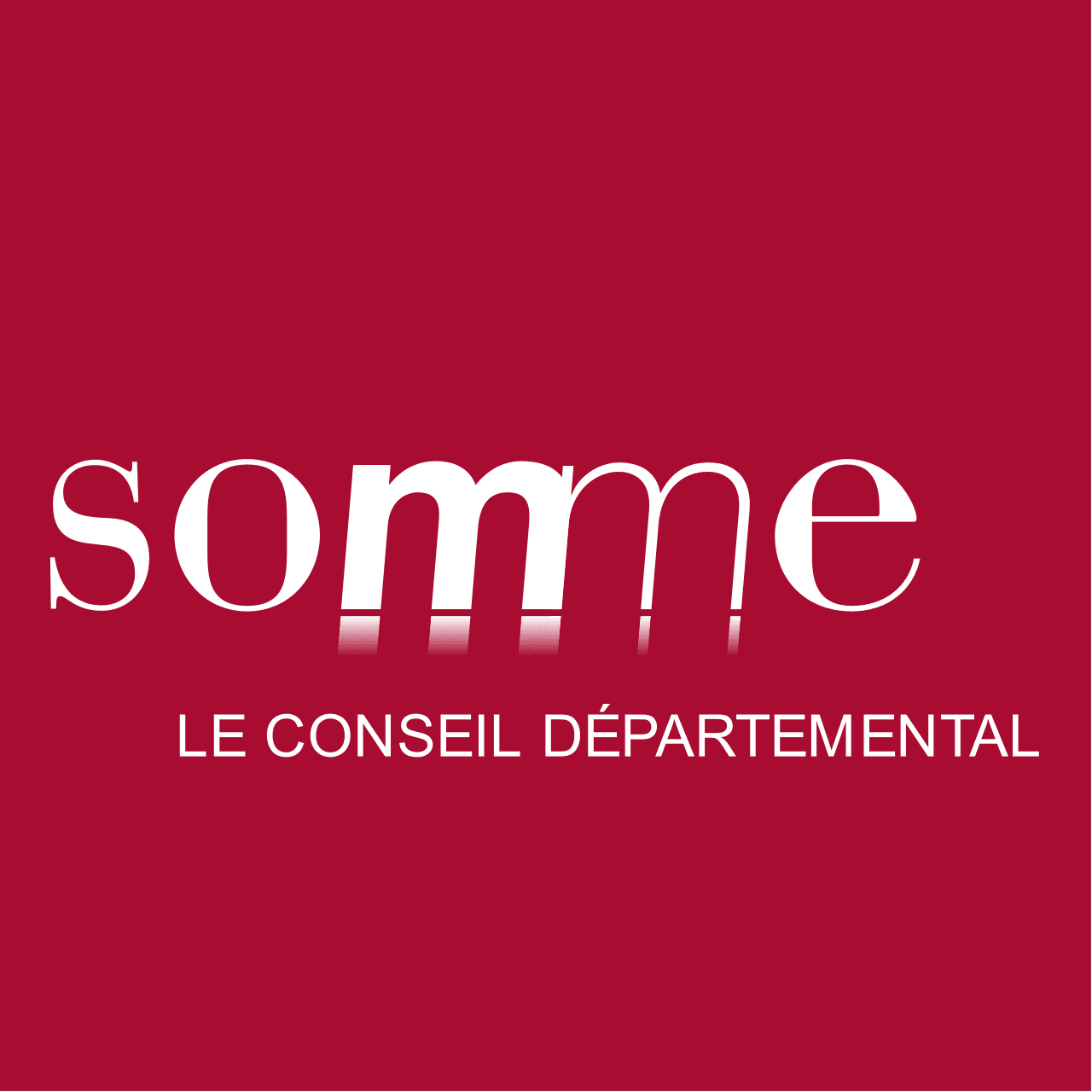 80-logo-somme.png